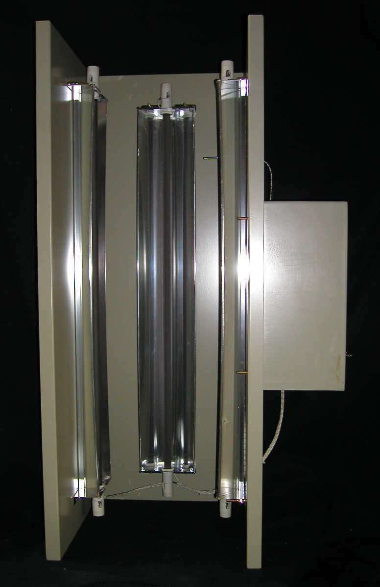 ������ ����